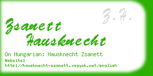zsanett hausknecht business card